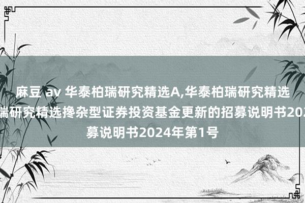 麻豆 av 华泰柏瑞研究精选A,华泰柏瑞研究精选C: 华泰柏瑞研究精选搀杂型证券投资基金更新的招募说明书2024年第1号