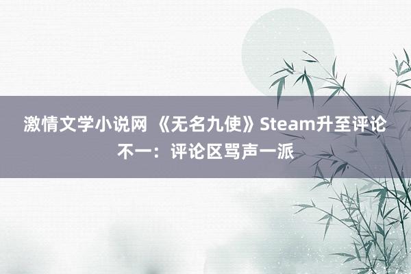 激情文学小说网 《无名九使》Steam升至评论不一：评论区骂声一派