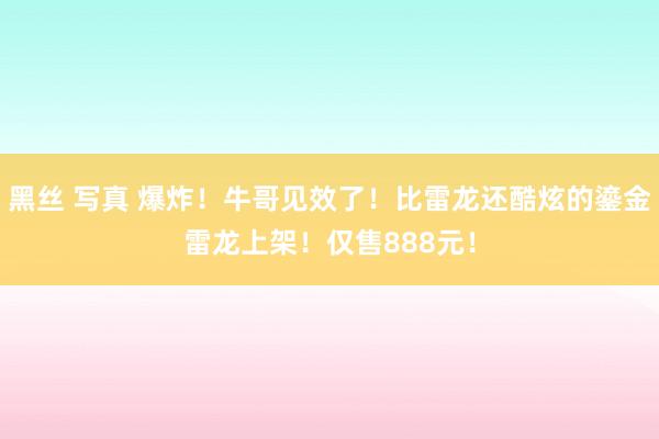 黑丝 写真 爆炸！牛哥见效了！比雷龙还酷炫的鎏金雷龙上架！仅售888元！
