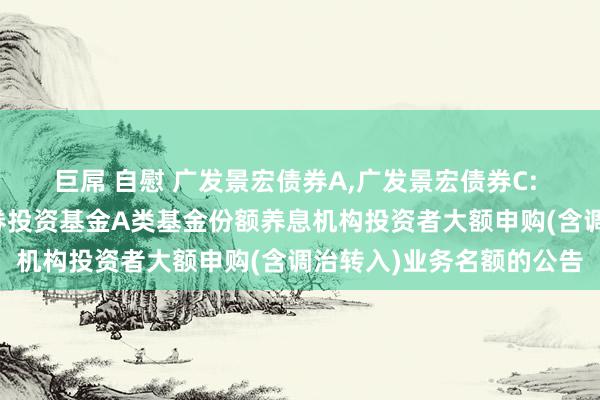 巨屌 自慰 广发景宏债券A,广发景宏债券C: 对于广发景宏债券型证券投资基金A类基金份额养息机构投资者大额申购(含调治转入)业务名额的公告