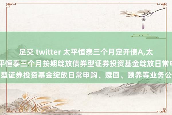 足交 twitter 太平恒泰三个月定开债A,太平恒泰三个月定开债C: 太平恒泰三个月按期绽放债券型证券投资基金绽放日常申购、赎回、颐养等业务公告