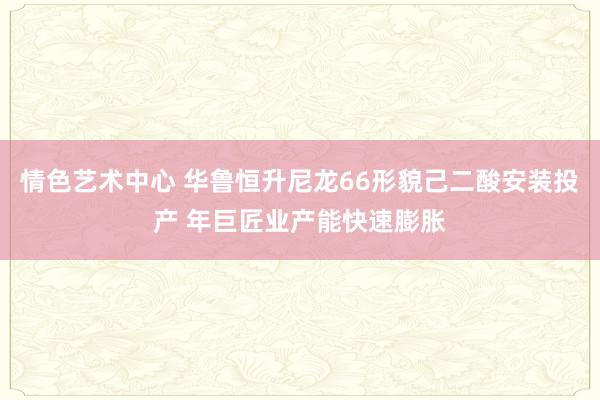 情色艺术中心 华鲁恒升尼龙66形貌己二酸安装投产 年巨匠业产能快速膨胀