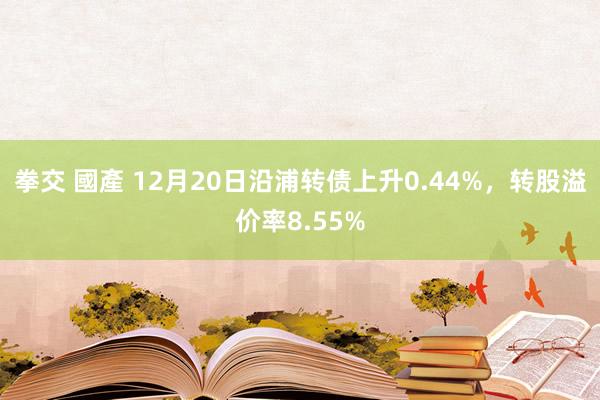 拳交 國產 12月20日沿浦转债上升0.44%，转股溢价率8.55%