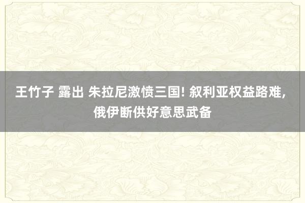 王竹子 露出 朱拉尼激愤三国! 叙利亚权益路难， 俄伊断供好意思武备
