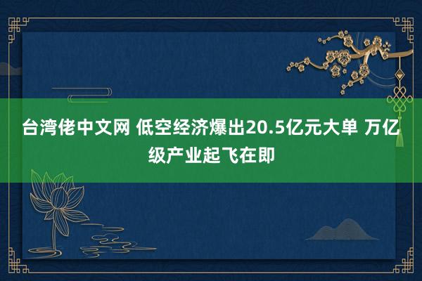 台湾佬中文网 低空经济爆出20.5亿元大单 万亿级产业起飞在即