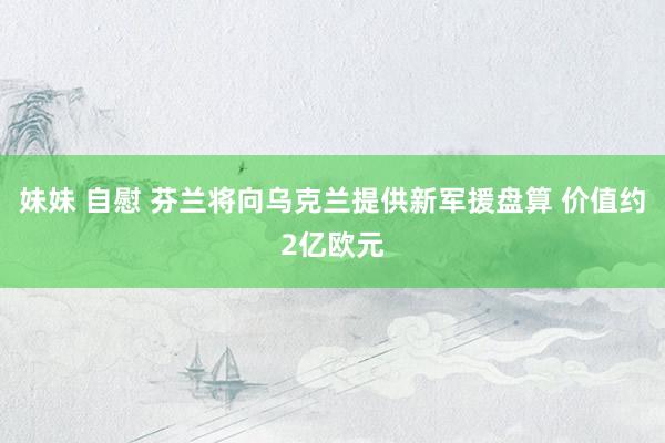 妹妹 自慰 芬兰将向乌克兰提供新军援盘算 价值约2亿欧元