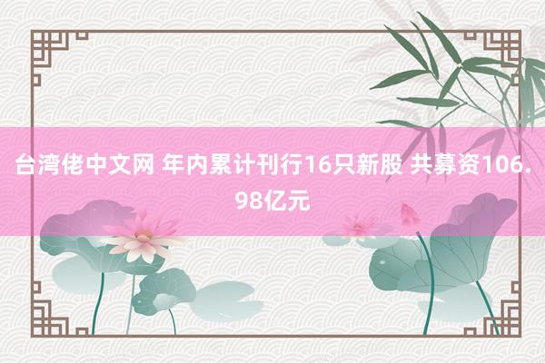 台湾佬中文网 年内累计刊行16只新股 共募资106.98亿元