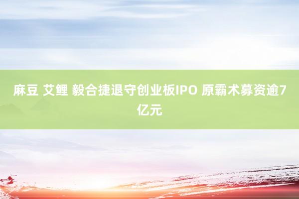 麻豆 艾鲤 毅合捷退守创业板IPO 原霸术募资逾7亿元