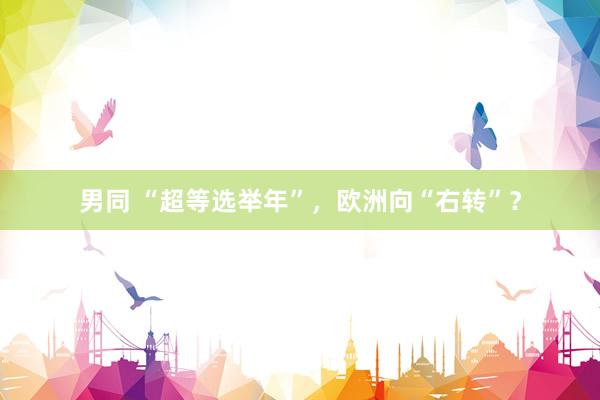 男同 “超等选举年”，欧洲向“右转”？